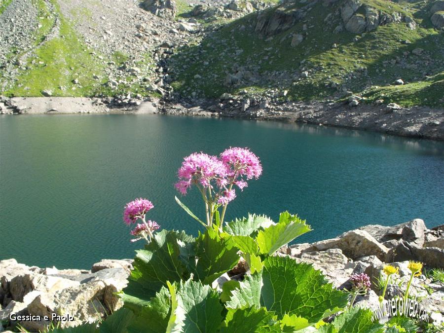 20- Lago della Malgina.jpg